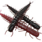 6" Floating Hellgrammite - qty 5/pack